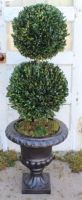40" Boxwood Double Ball Topiary